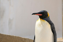 Thumbnail of post image 198